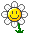 :flower: